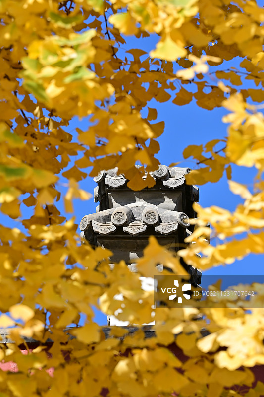 和平寺秋色图片素材