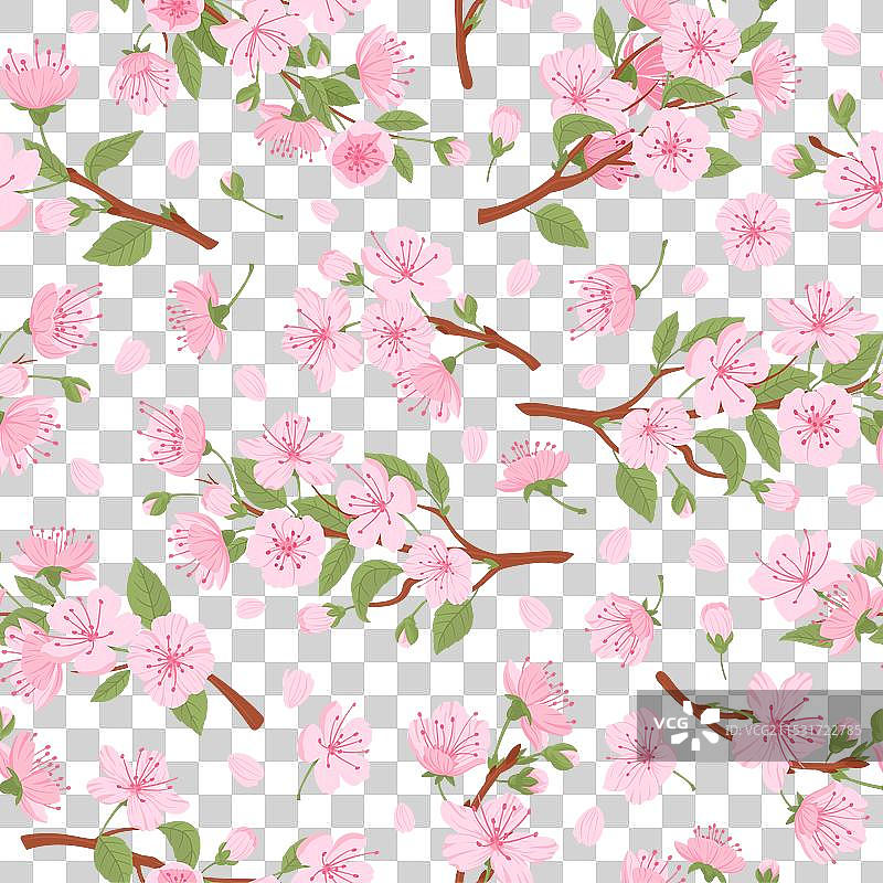 盛开的樱花无缝图案春天樱花图片素材