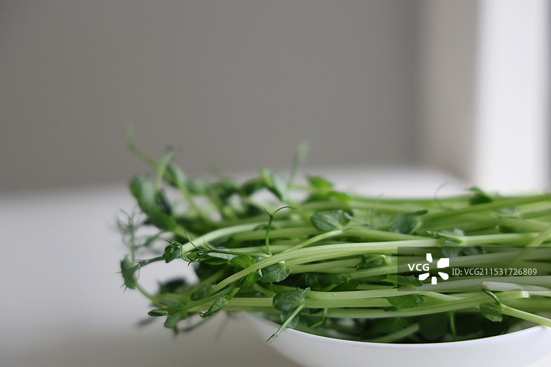 火锅食材豌豆苗特写图片素材