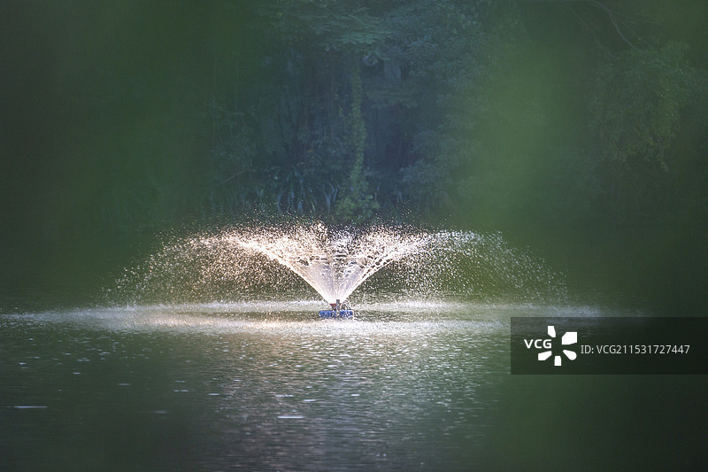 阳光下水池里喷洒的喷泉水花图片素材