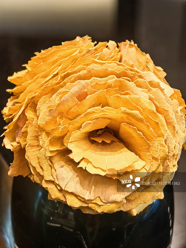 玫瑰花图片素材