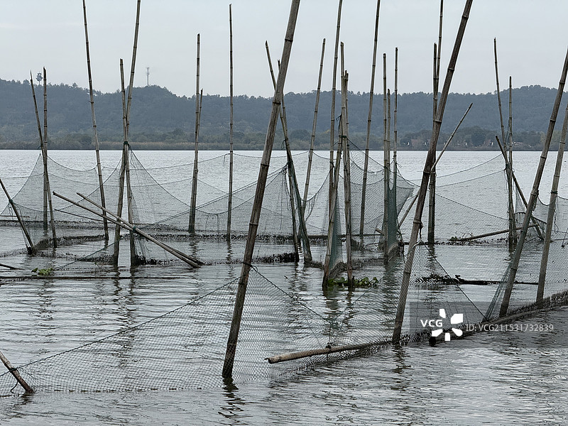 湖上的渔网图片素材