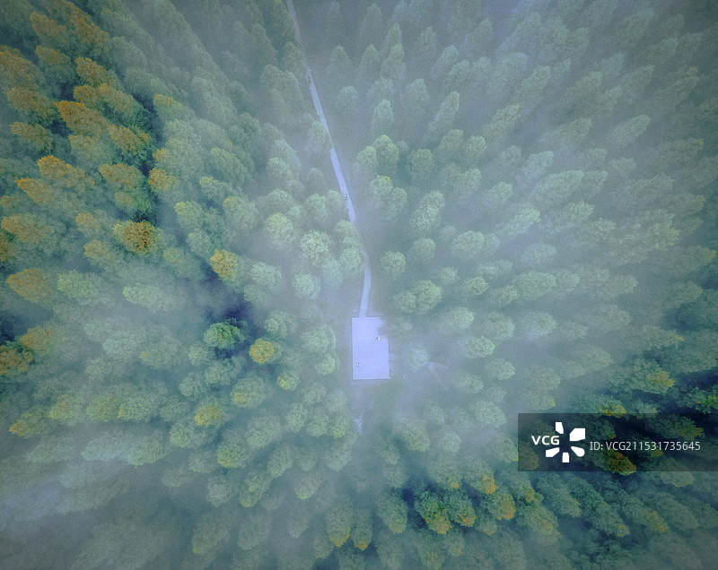 森林中林场的航拍拍摄图片素材