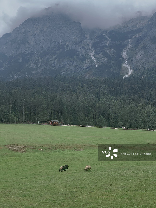 自然风光照图片素材
