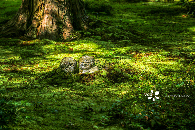 京都·三千院图片素材
