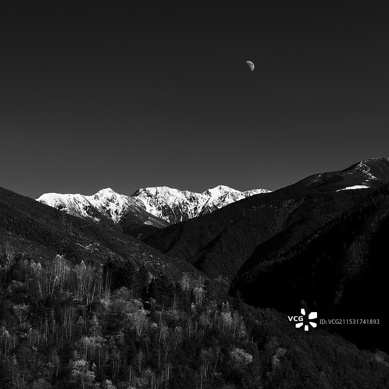 山月图片素材