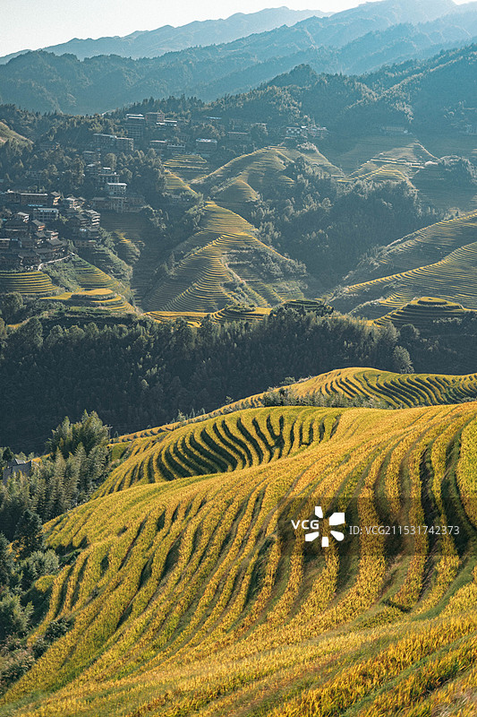 广西龙脊梯田图片素材