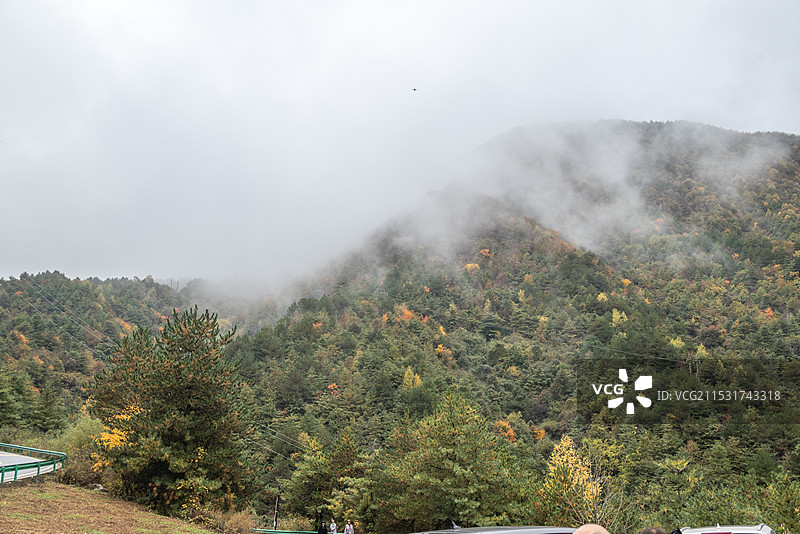 秦岭红叶 秦岭秋色  西安秋景秋色 太白县秦岭图片素材