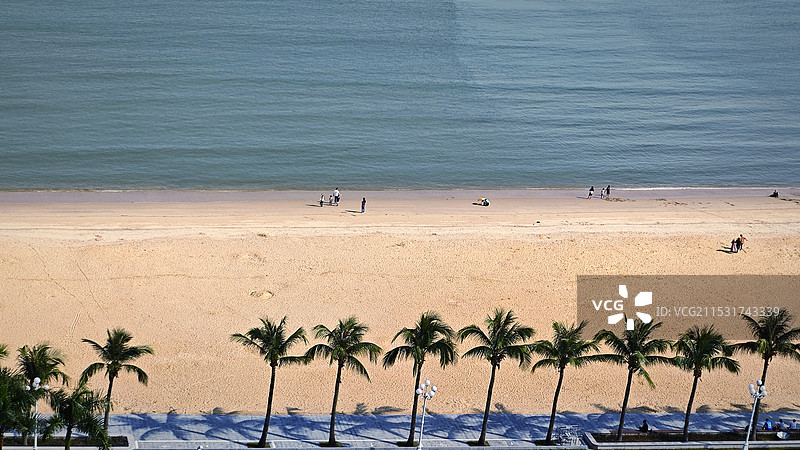 椰树.沙滩（珠海）图片素材