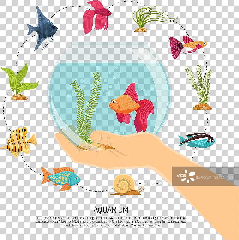 鱼缸手部构图图片素材