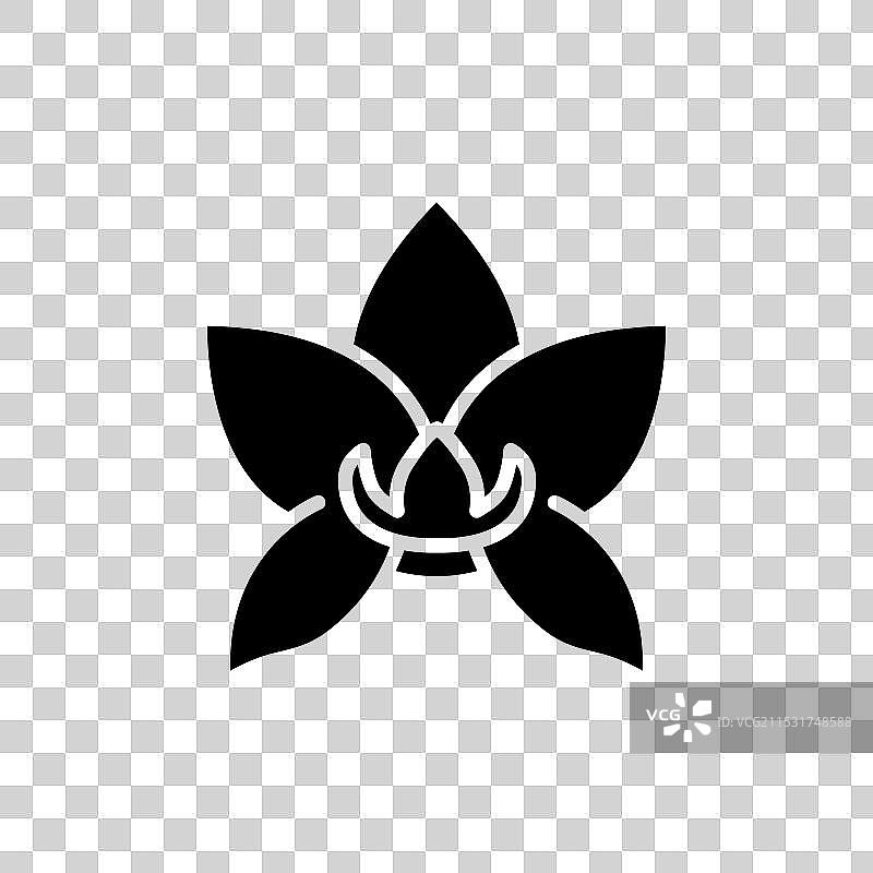 蝴蝶兰图标集 兰花植物符号图片素材