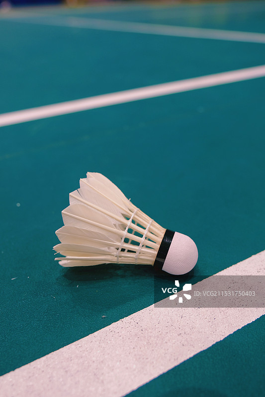 羽毛球特写镜头图片素材