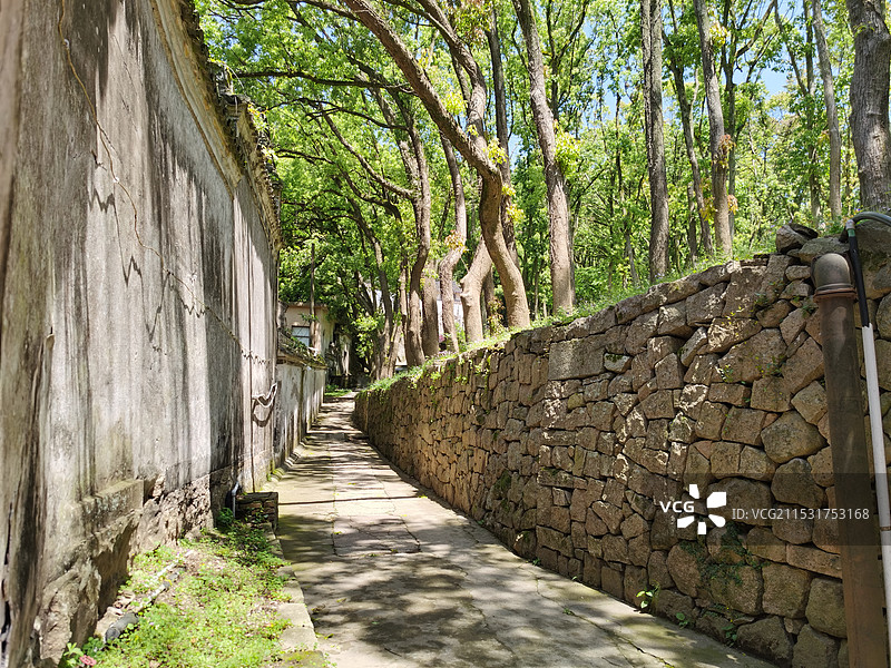 村间小路图片素材