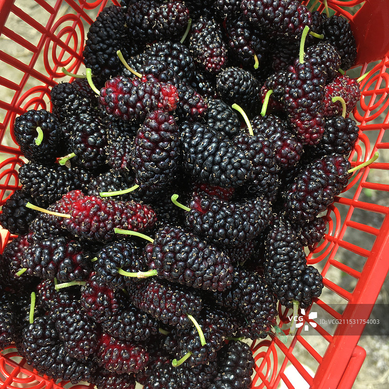 篮子里的浆果特写镜头图片素材