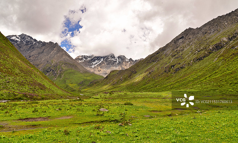 蓝天白云下的高山草原，雪山下的花海，四川西部，四姑娘山海子沟图片素材