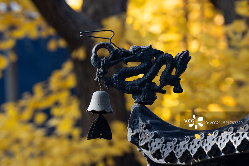 挂在树上的铃铛特写镜头图片素材