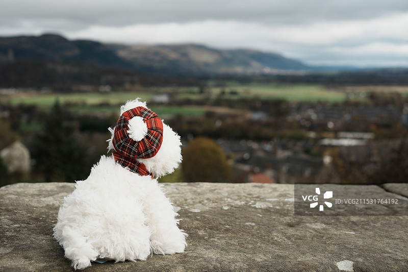 Stirling图片素材