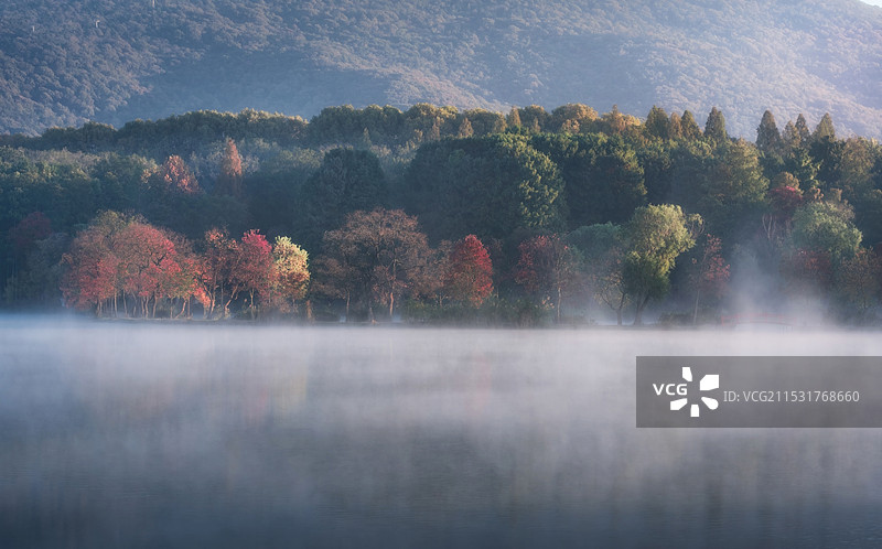 中山植物园前湖晨雾图片素材