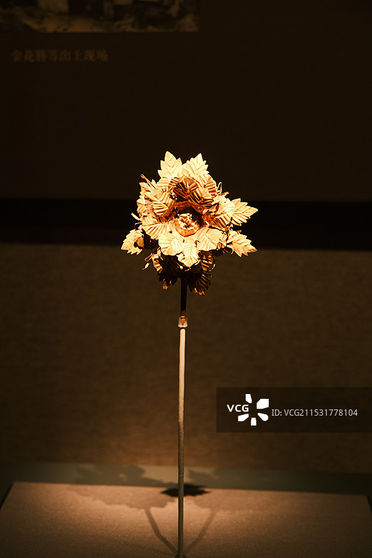 湖北省博物馆黄金钗图片素材