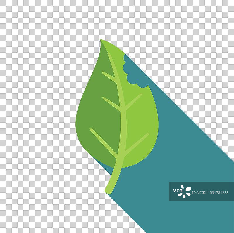 蓝色背景上的绿色叶子，带有咬痕图片素材