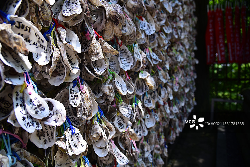 生蚝壳许愿牌图片素材