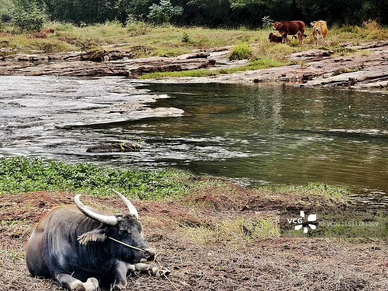 《河边》图片素材