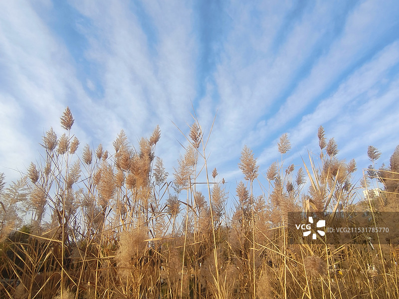 云海天际图片素材