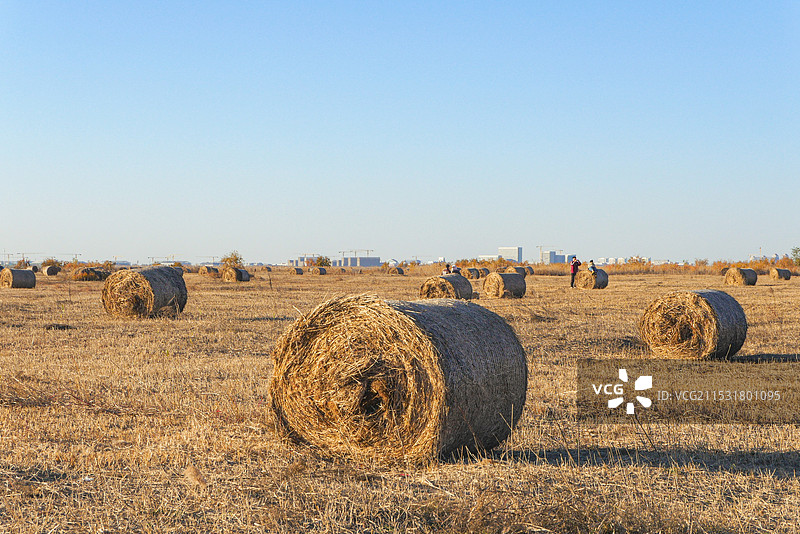 秋天的草垛图片素材