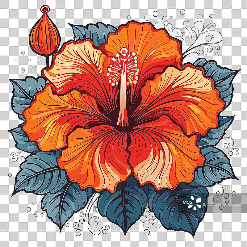 涂鸦风格的木槿花图片素材