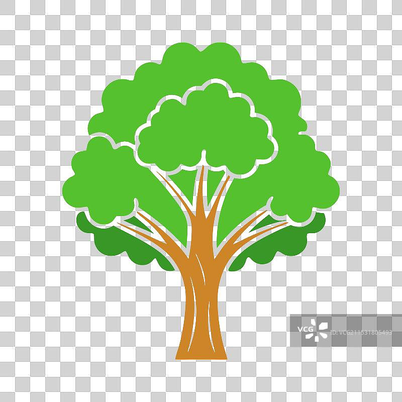 一棵绿叶繁茂、树干呈棕色的橡树图片素材