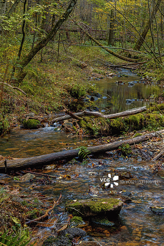 黑龙江伊春上甘岭溪水国家森林公园图片素材