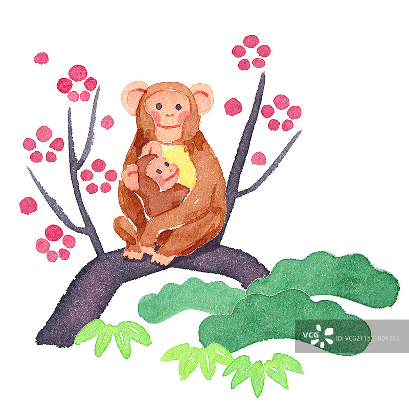 猴子生肖插图图片素材