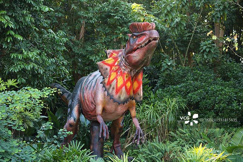 南宁青秀山风景区的恐龙世界图片素材