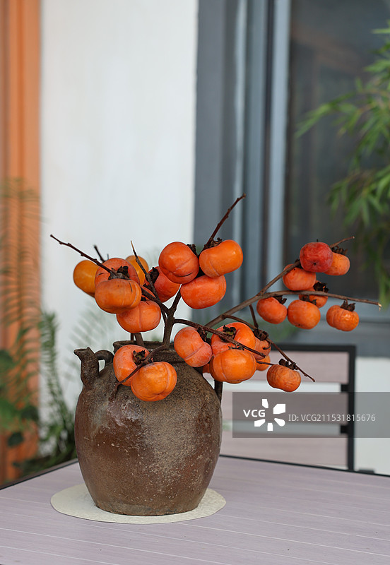 带树枝的柿子静物图片素材