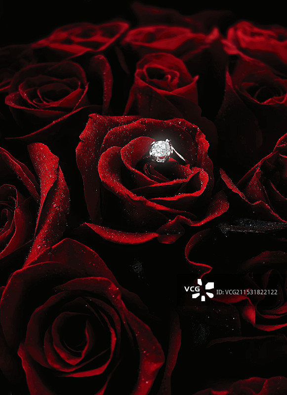 盛开的爱情图片素材