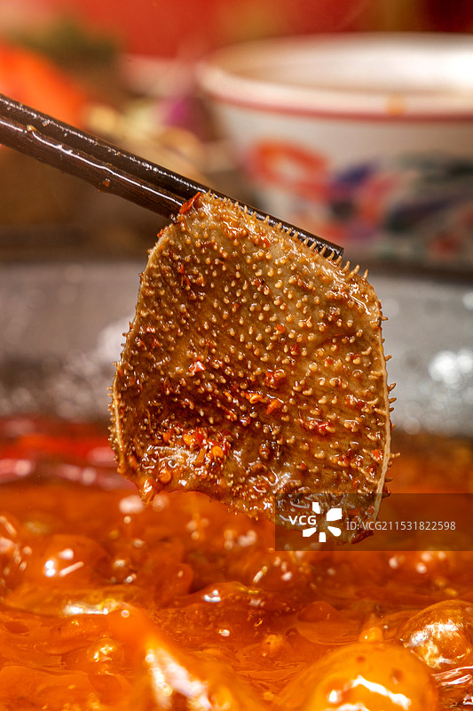 毛肚火锅毛肚毛刺牛肚川渝热辣图片素材