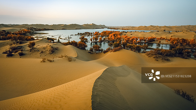 湖光沙色映胡杨图片素材