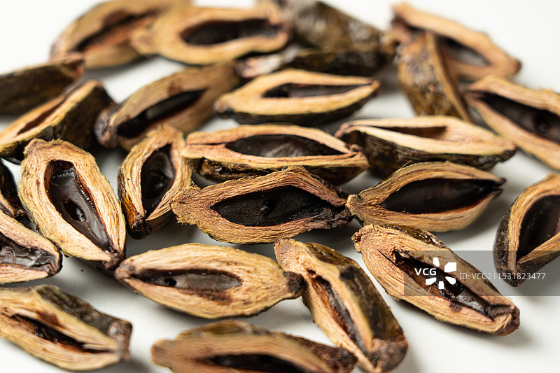 白底上的槟榔特写图片素材