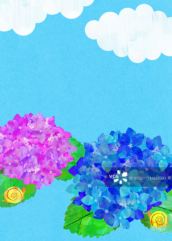 绣球花与蜗牛图片素材