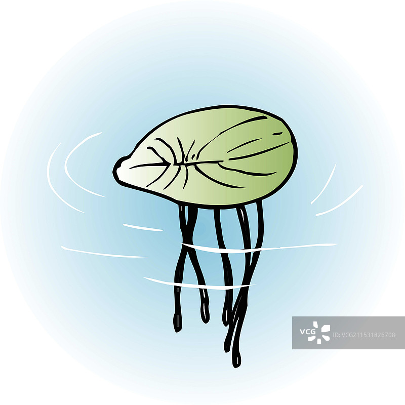 乌基草图片素材