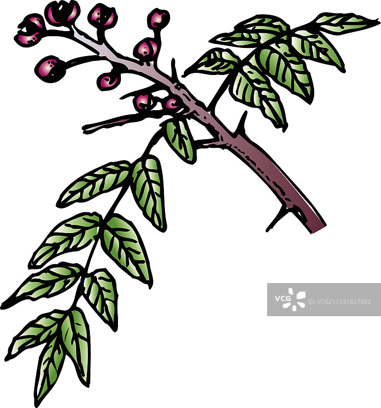 翻车鱼图片素材