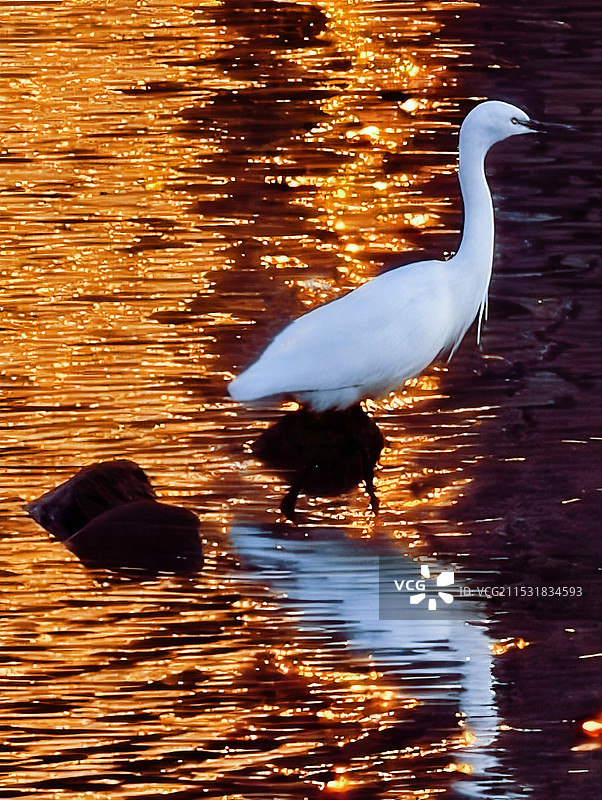 落日余晖图片素材