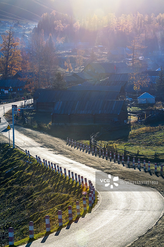 白哈巴村的进村道路垂直构图图片素材