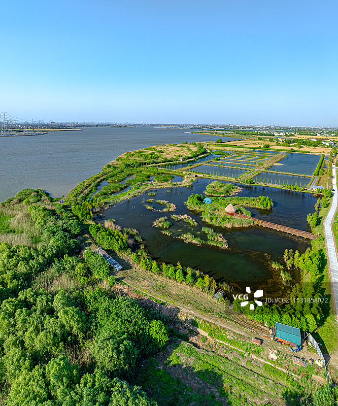 震泽湿地公园 长漾湖畔湿地 鸟类栖息地 苏州市吴江区 太湖平原湿地生态系统 绿水青山就是金山银山图片素材