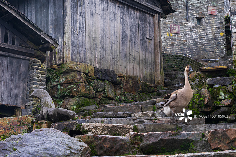 清远市南岗千年瑶寨景区图片素材
