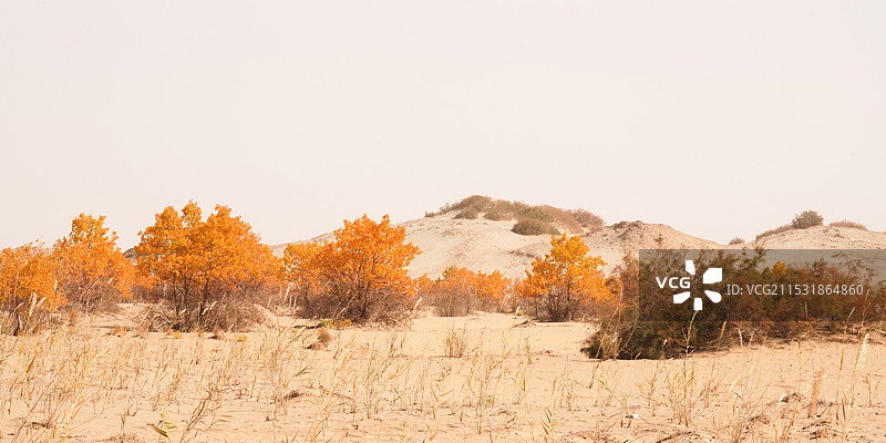 和田沙漠公路图片素材