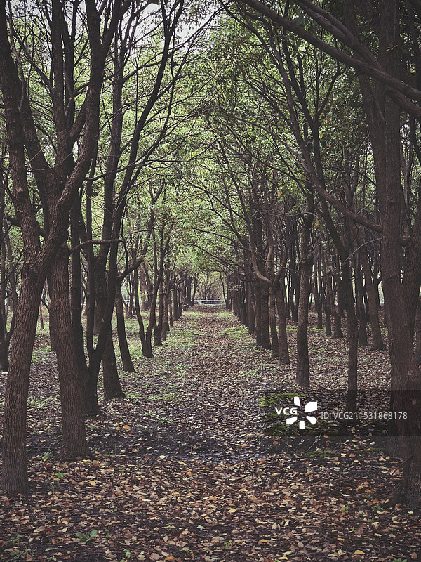 嘉北郊野公园图片素材