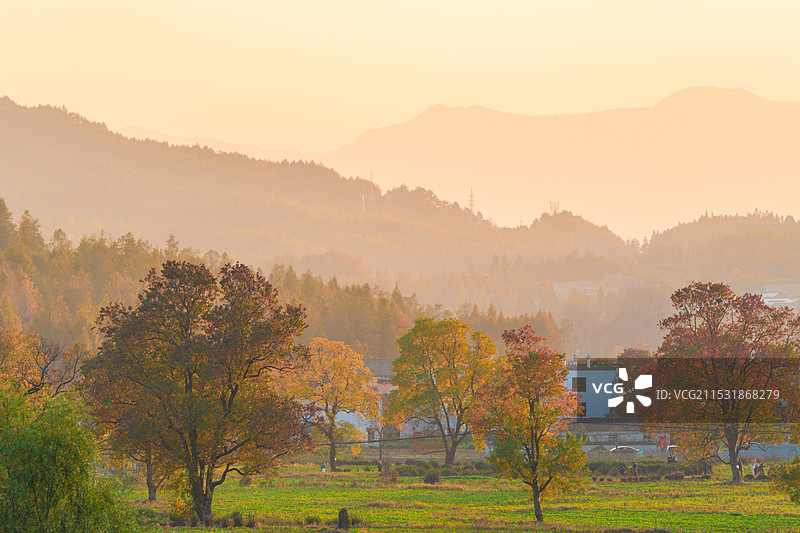光影中的皖南秋色，安徽黟县塔川图片素材