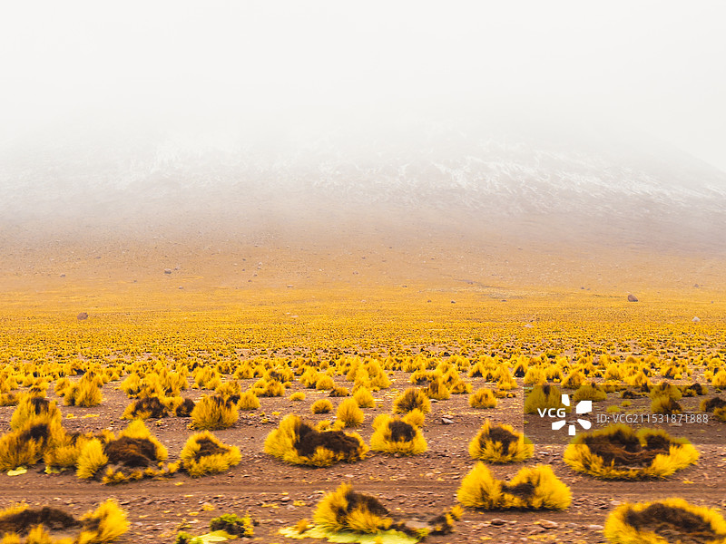 玻利维亚安第斯山脉图片素材
