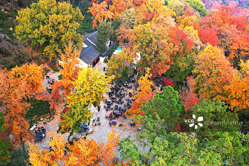 《天平枫叶红》苏州天平山图片素材